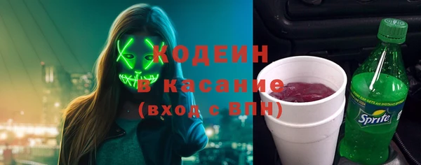 шишки Дмитров