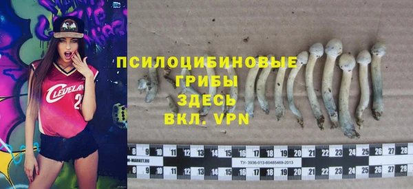 каннабис Дмитриев